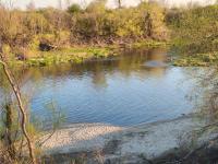 Imagine atasata: aaa (4).jpg